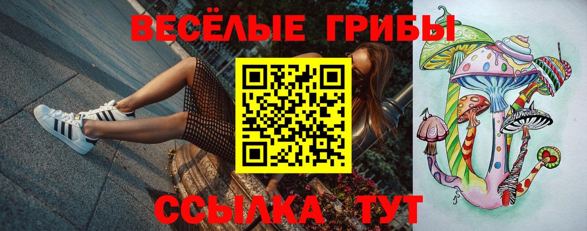 Псилоцибиновые грибы Psilocybine cubensis  Вход с VPN  Котельники 