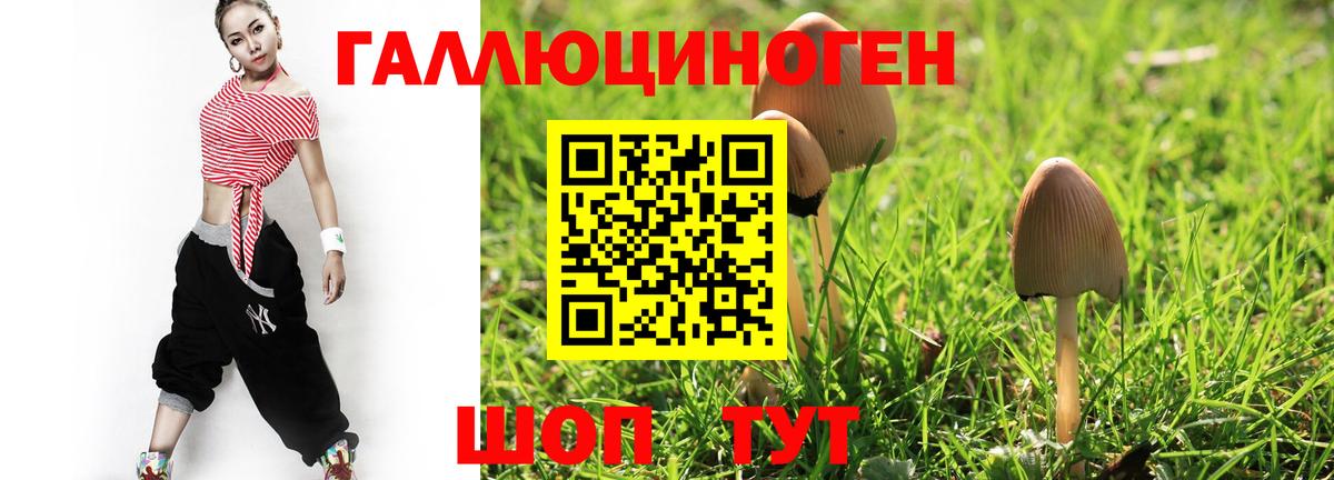Галлюциногенные грибы Psilocybine cubensis Котельники